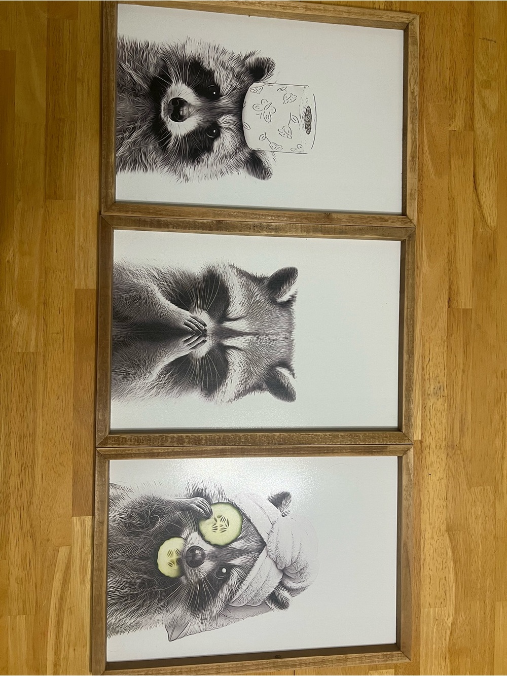 Framed Raccoon Wall Art Set - Neutral Brown Frames